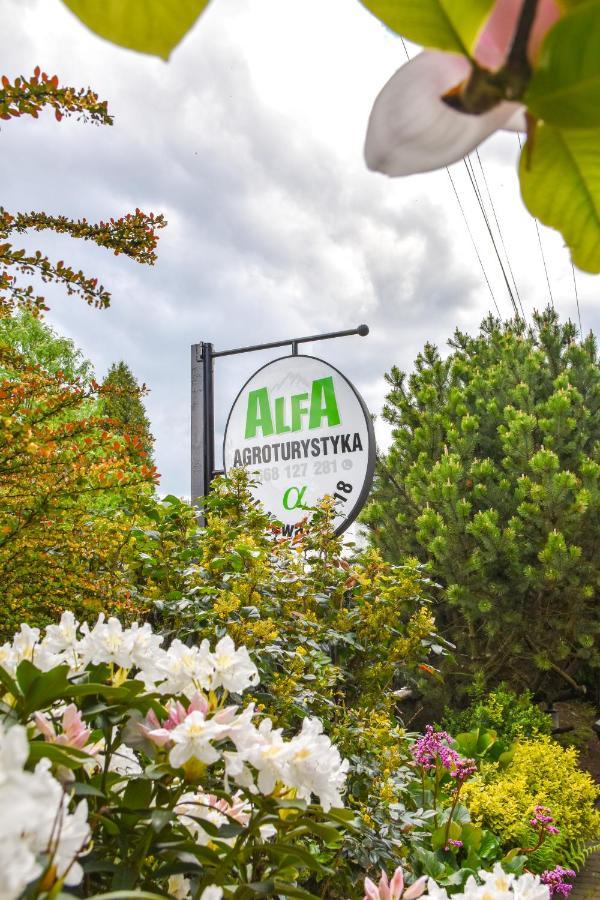 Agroturystyka Alfa Bystra  Extérieur photo