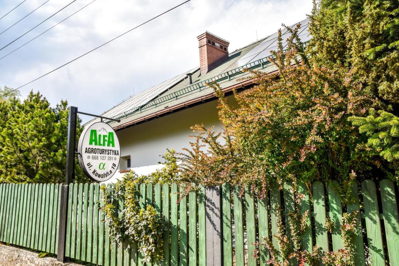 Agroturystyka Alfa Bystra  Extérieur photo