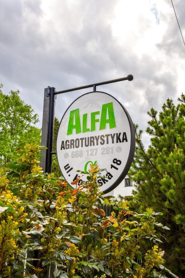 Agroturystyka Alfa Bystra  Extérieur photo