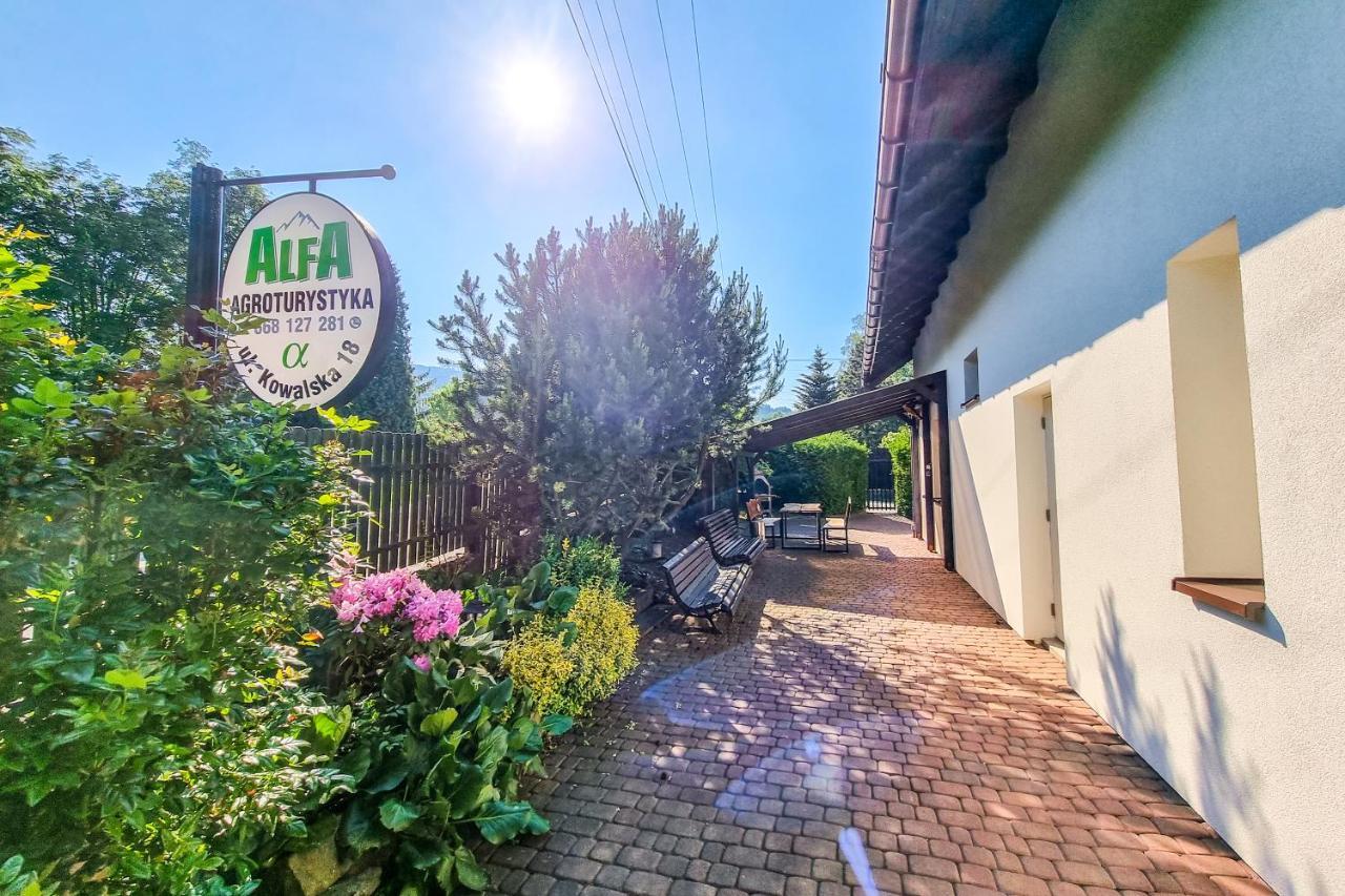 Agroturystyka Alfa Bystra  Extérieur photo
