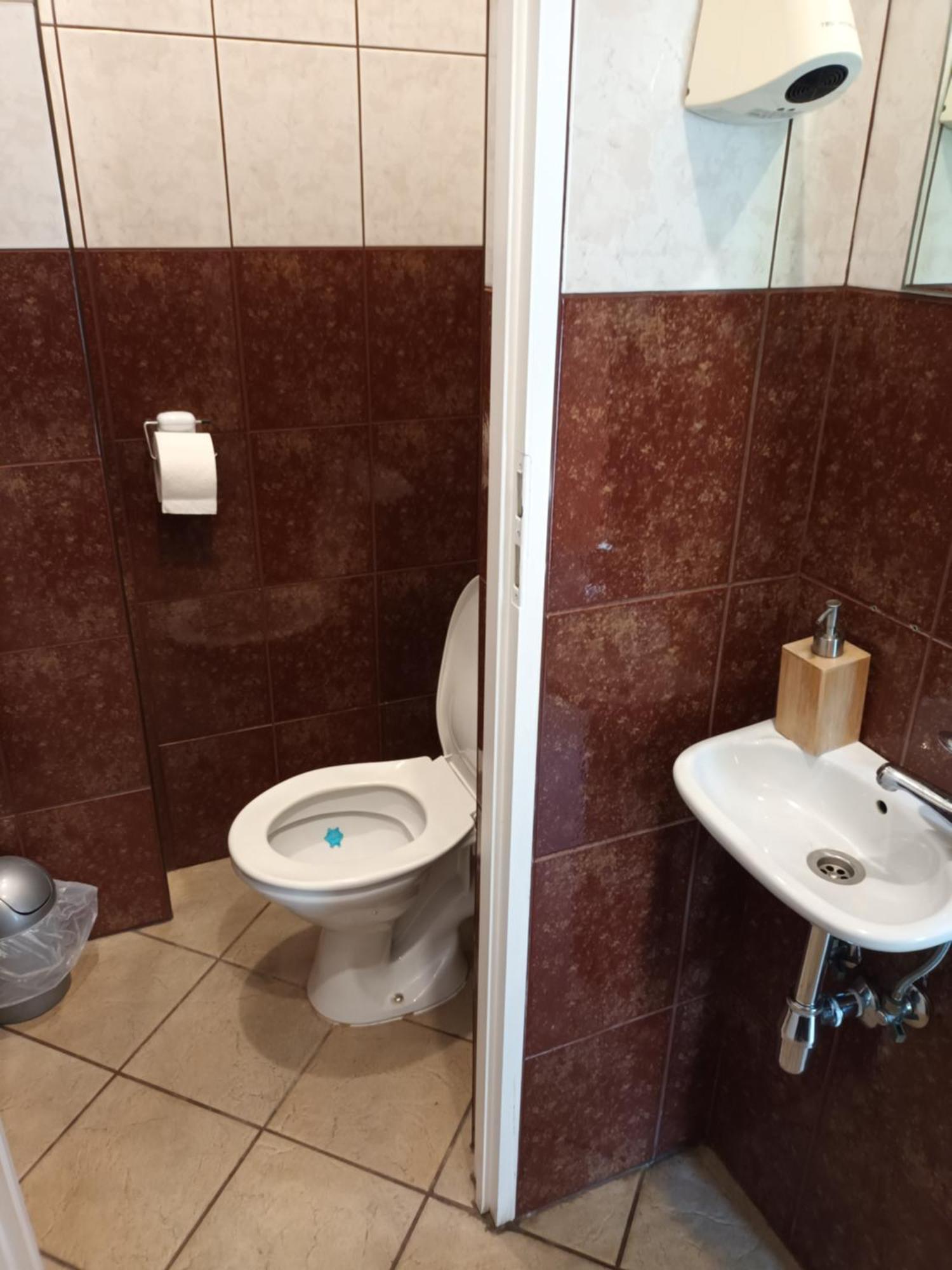 Agroturystyka Alfa Bystra  Extérieur photo